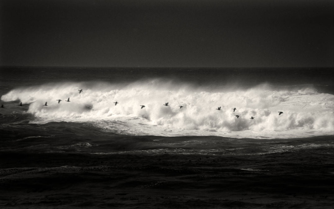Masao Yamamoto - Nusa
