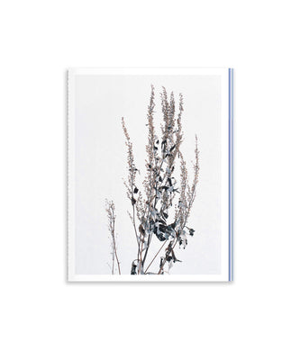YANN STOFER - HOKKAIDO IS BLUE, WHITE AND GOLD