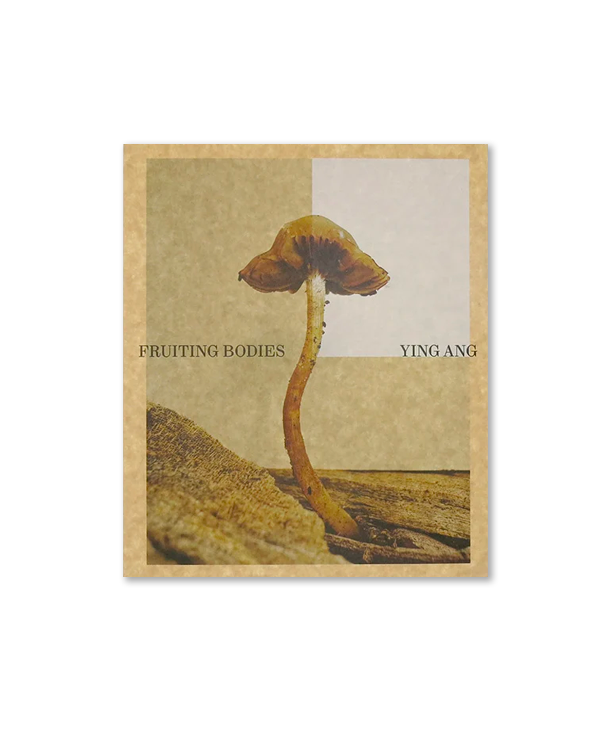 Ying Ang - Fruiting Bodies