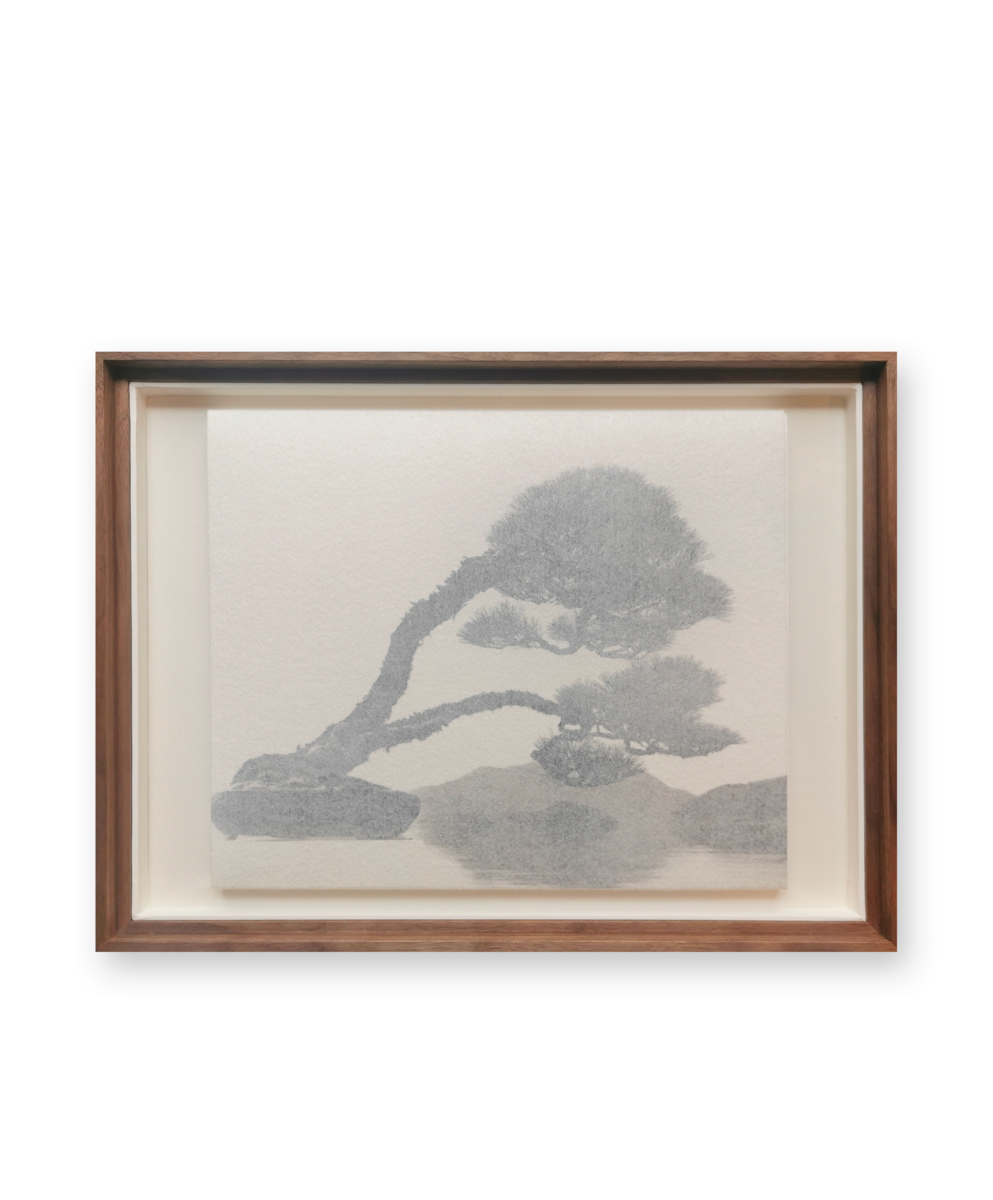 Bonsai - Microcosms Macrocosms (Deluxe Edition) by Masao Yamamoto