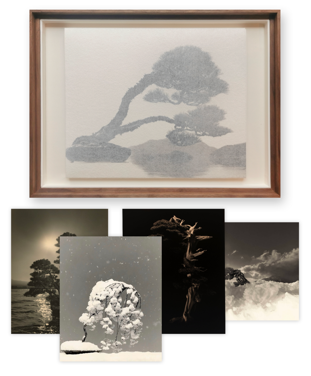 Bonsai - Microcosms Macrocosms (Deluxe Edition) by Masao Yamamoto