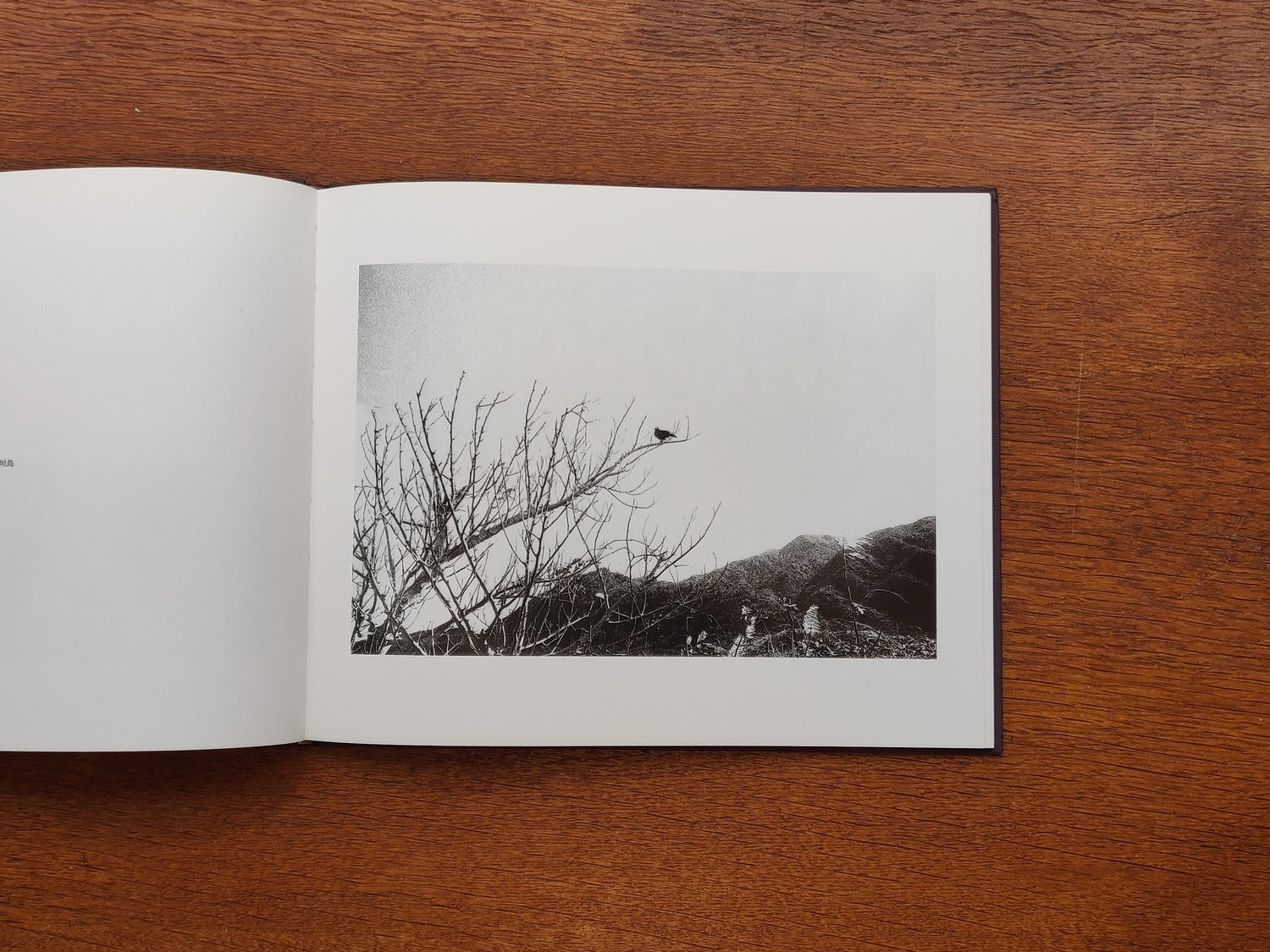Scenes once seen (signed)