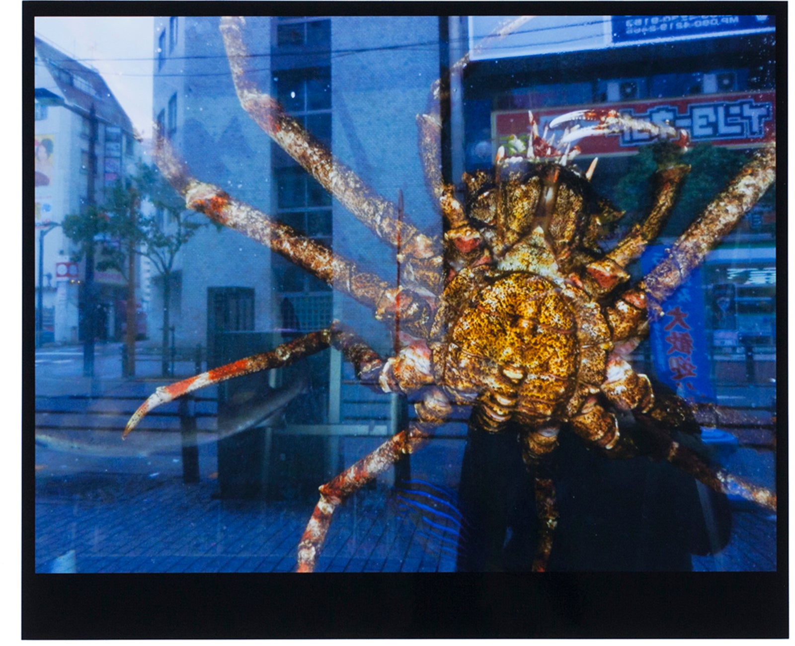 写真・グラフィック Daido Moriyama TOKYO BOX Daido Moriyama - Tokyo (Box 20 Prints) – Galerie Écho