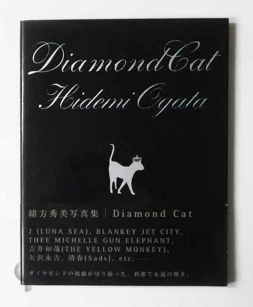 Diamond cat