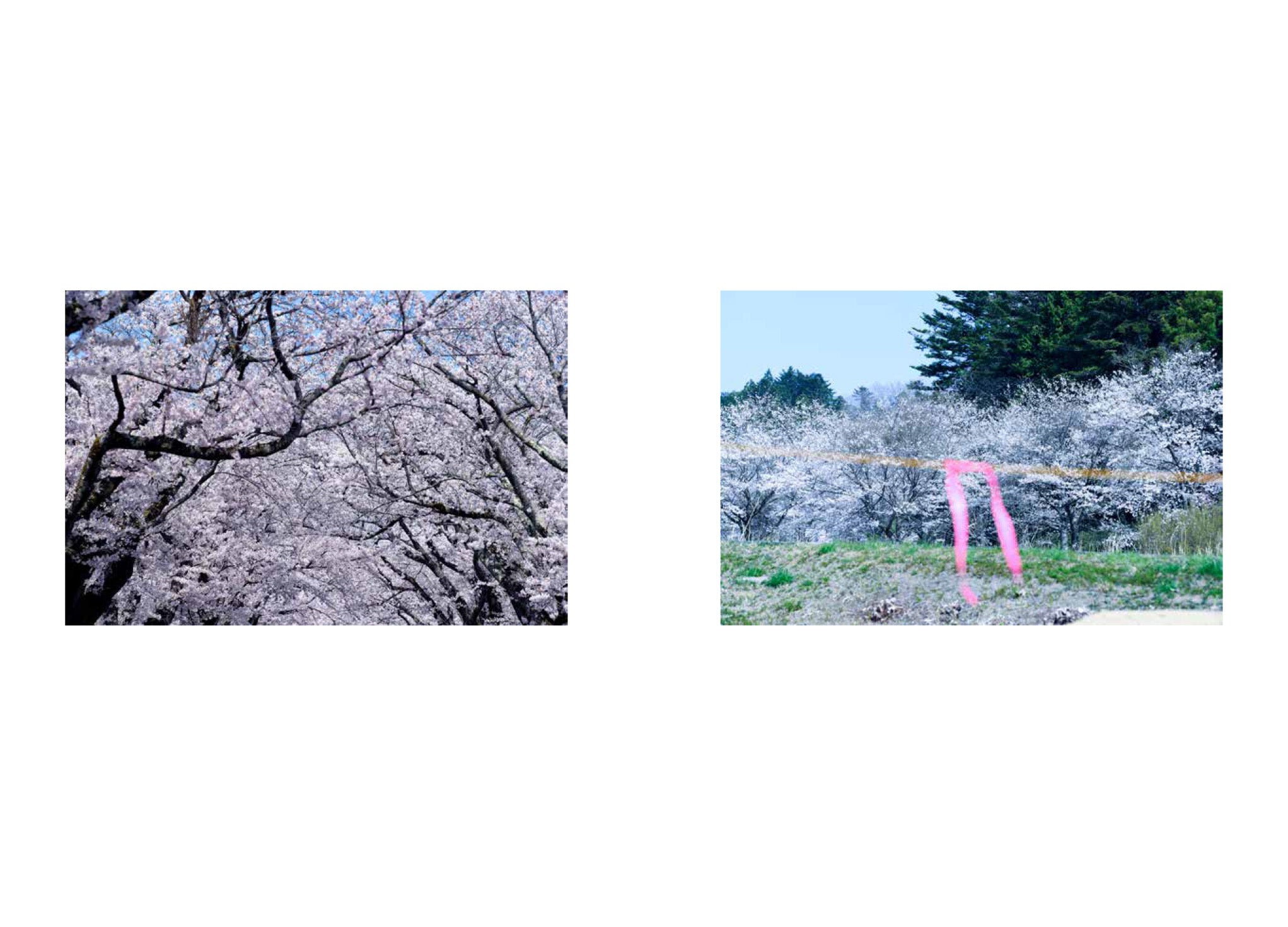 Ai Iwane - A new River Flows