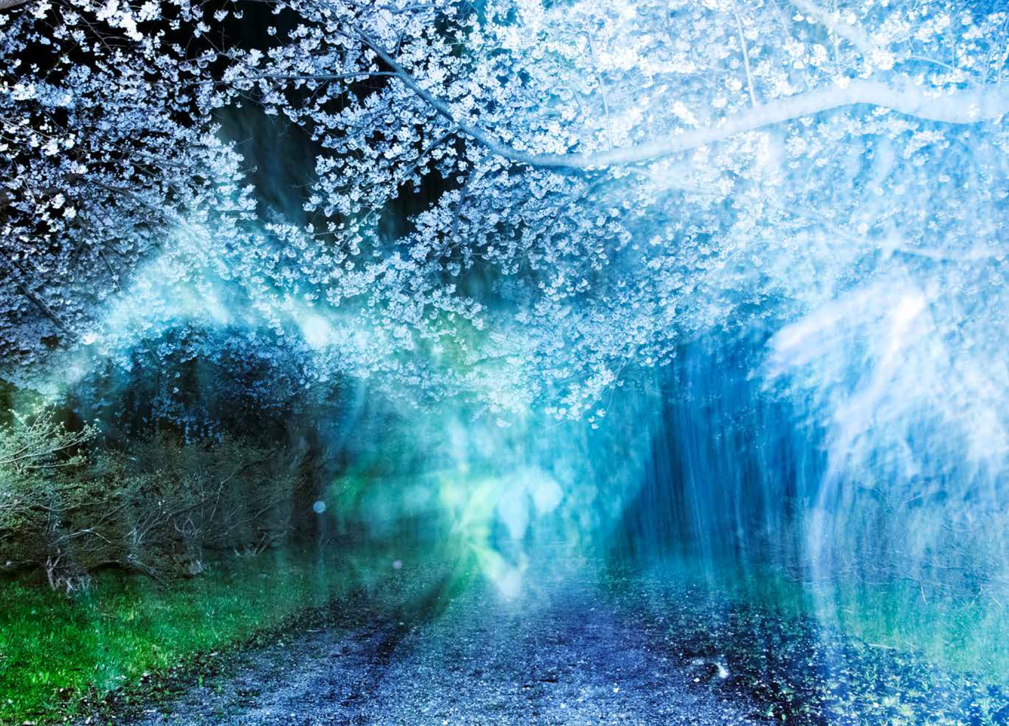 Ai Iwane - A new River Flows