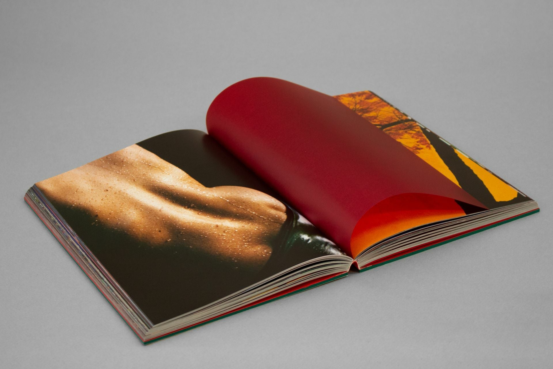Marguerite Bornhauser - When Black is Burned