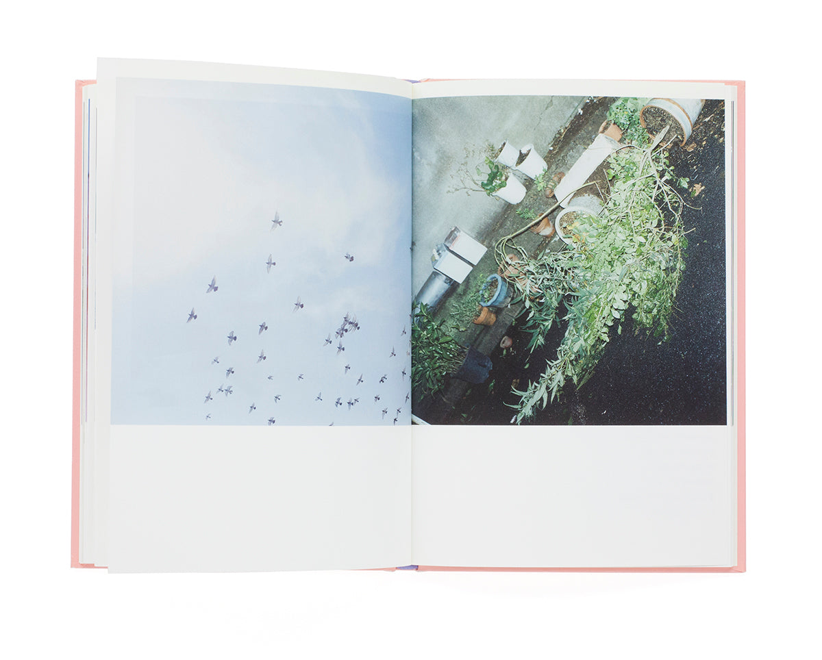Rinko Kawauchi - The eyes, the ears
