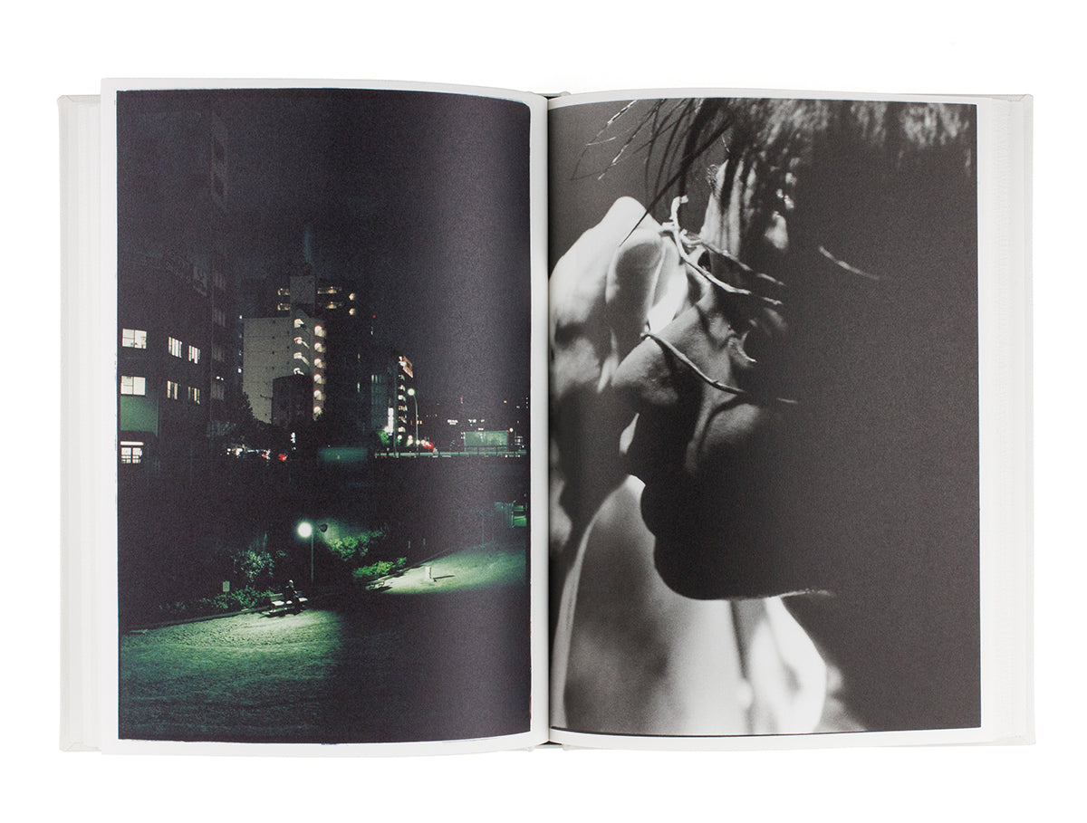 Sakiko Nomura - NUDE / A ROOM / FLOWERS