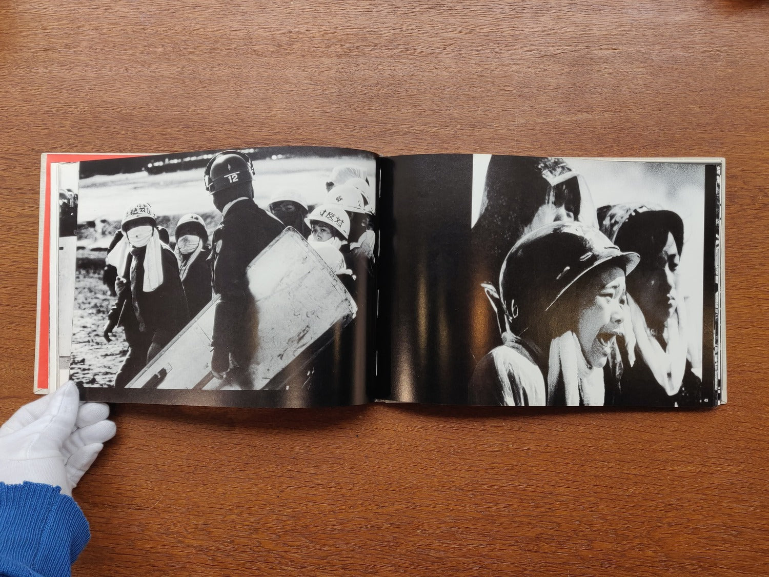 The Birthplace of Resentment: Narita-Sanrizuka