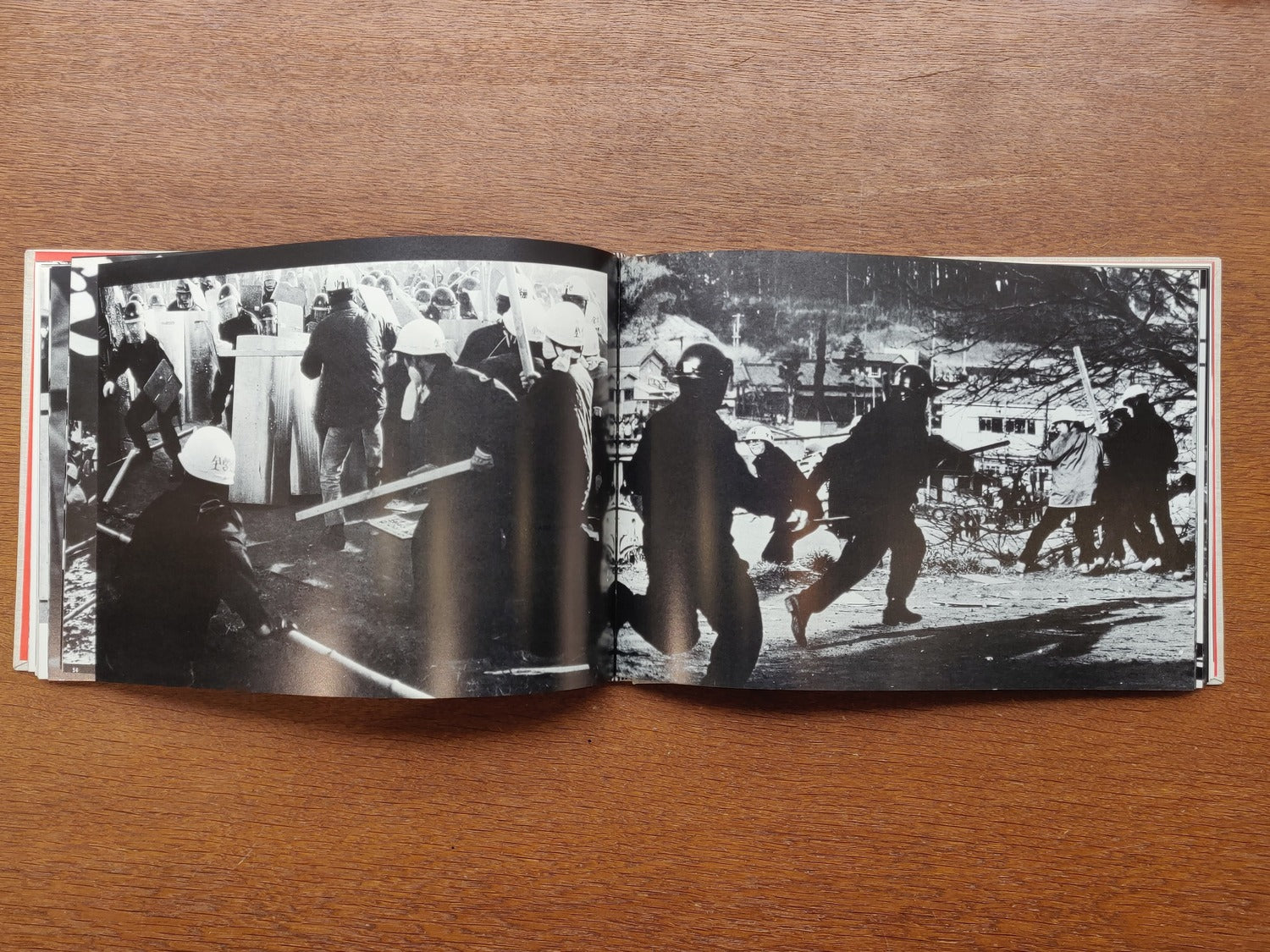 The Birthplace of Resentment: Narita-Sanrizuka
