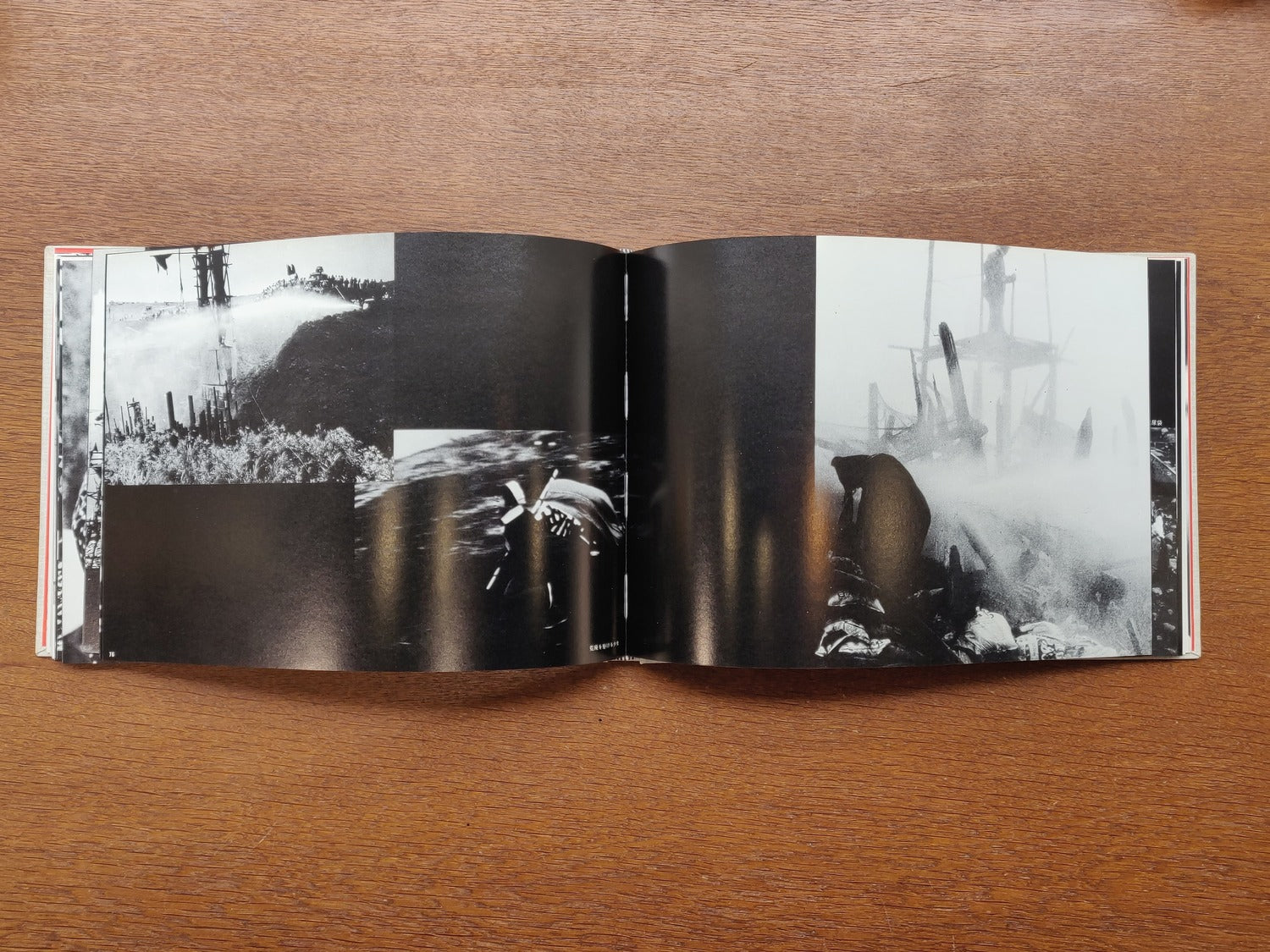 The Birthplace of Resentment: Narita-Sanrizuka