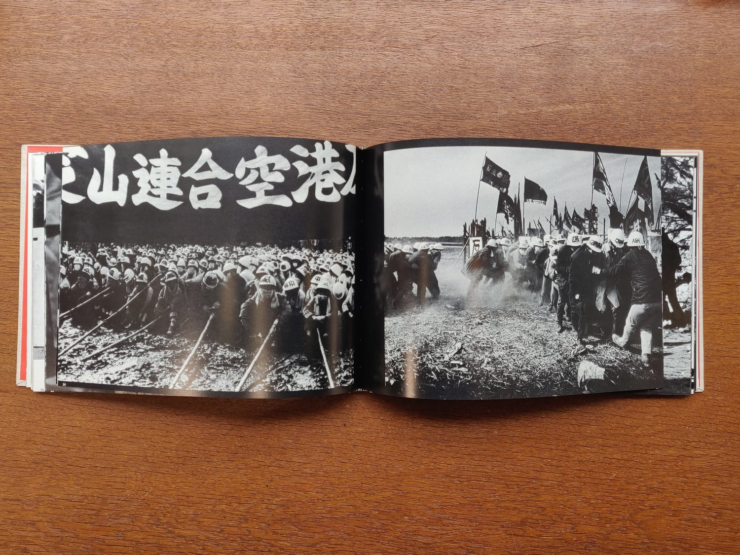 The Birthplace of Resentment: Narita-Sanrizuka
