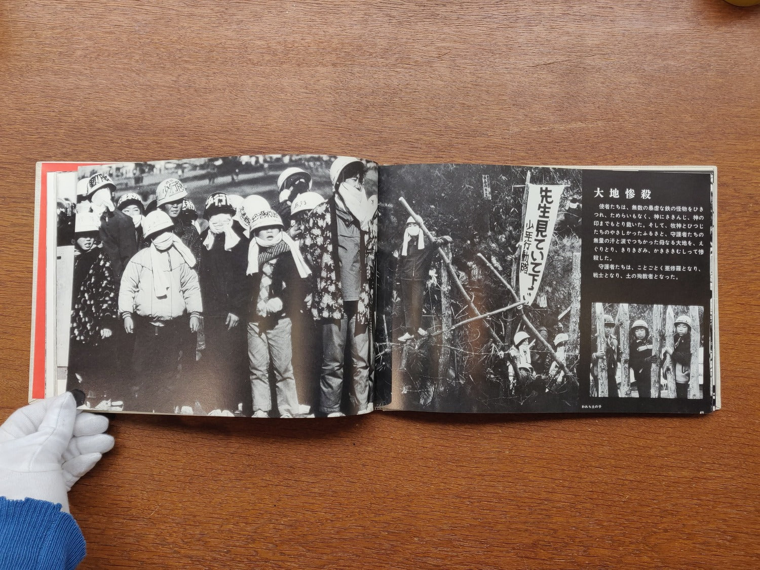 The Birthplace of Resentment: Narita-Sanrizuka