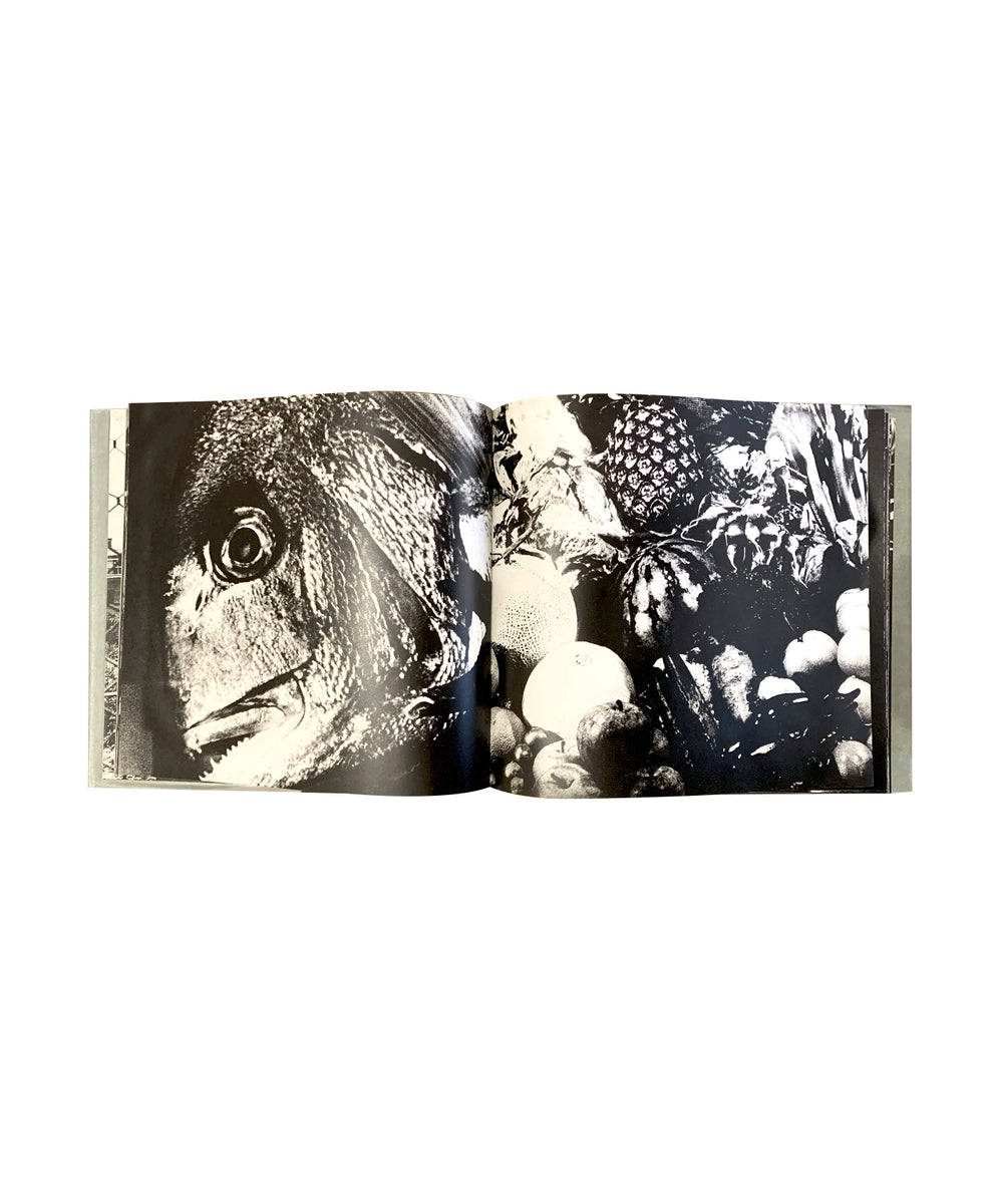 Japan, a Photo Theater II