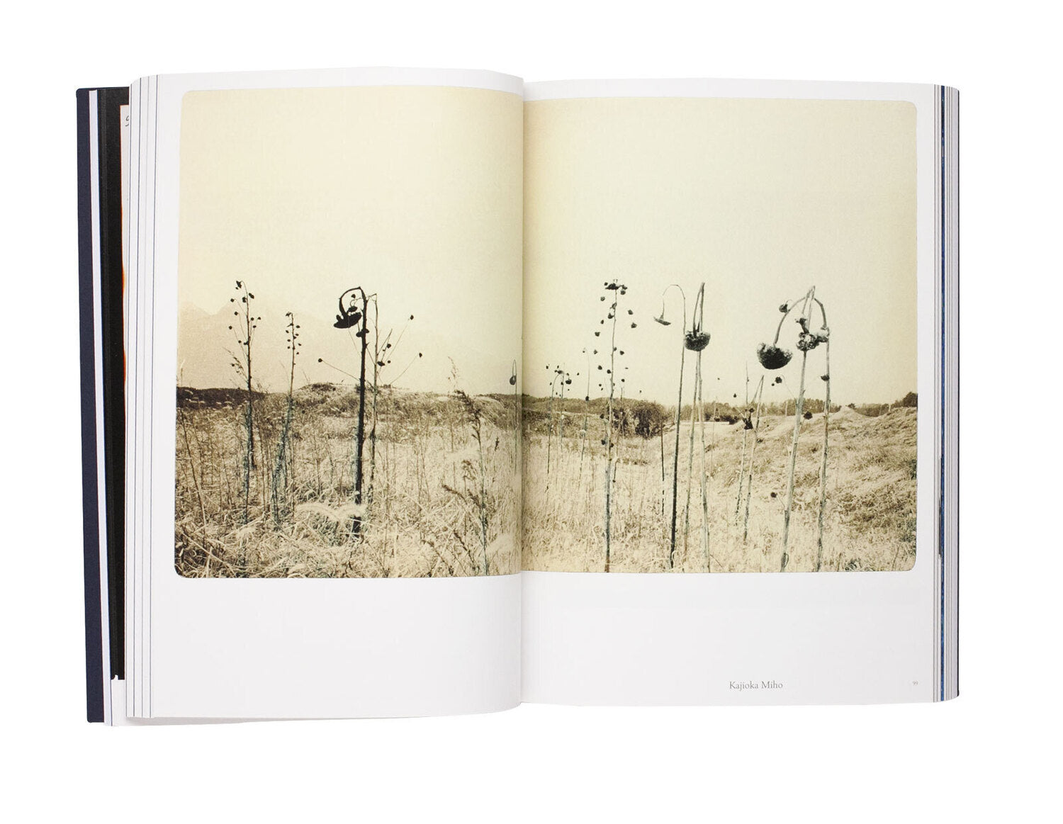 Répliques 11.03.11. Des photographes japonais face au cataclysme