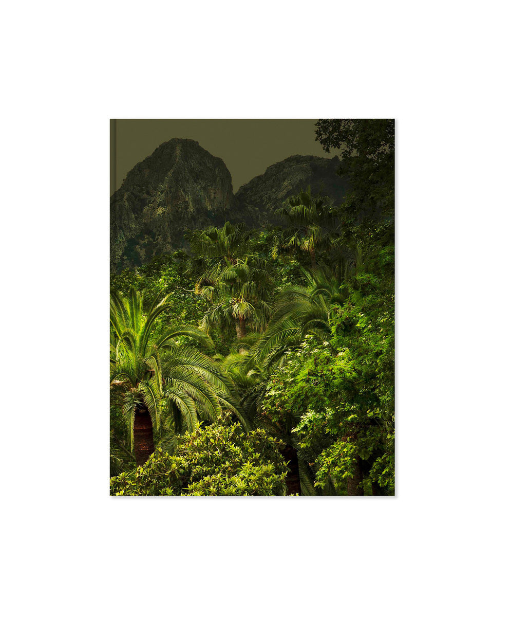 JUNGLES - Edition spéciale