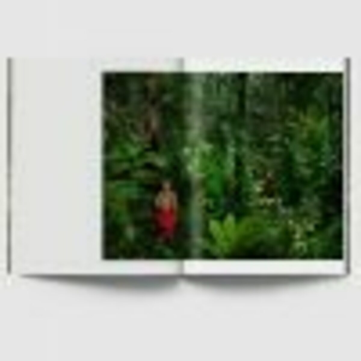 JUNGLES - Edition spéciale