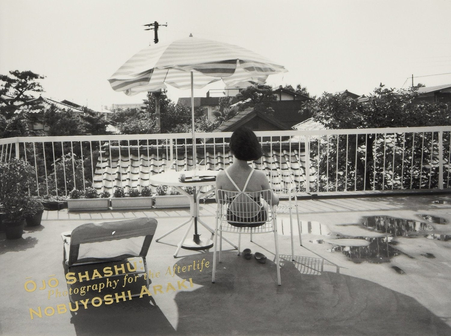 Ojo Shashu: Photography for the Afterlife