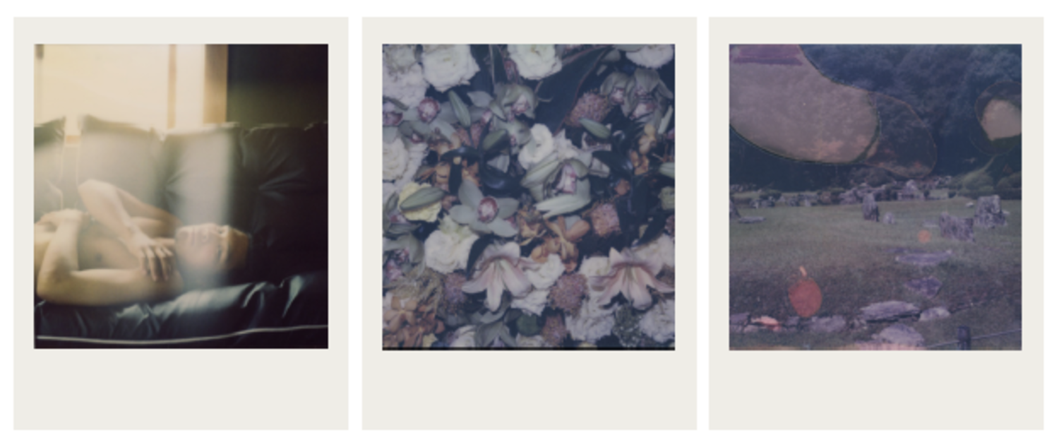 Untitled