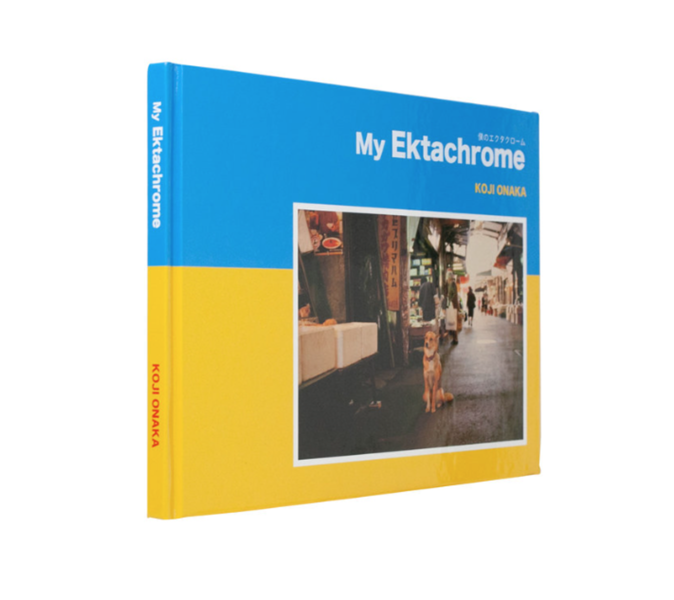 My Ektachrome (signed)