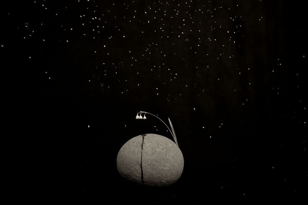 Masao Yamamoto - Nusa