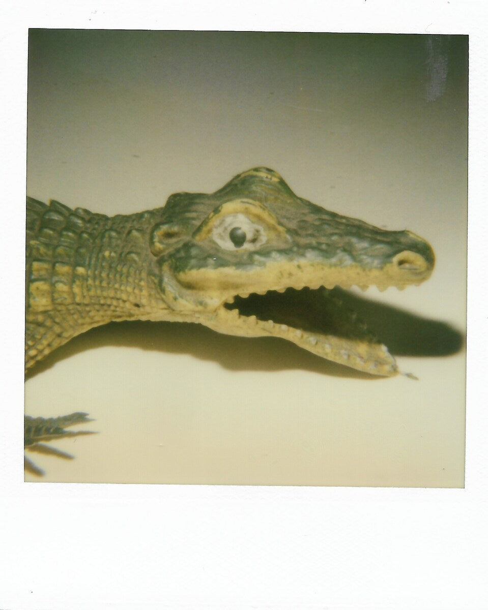 Object