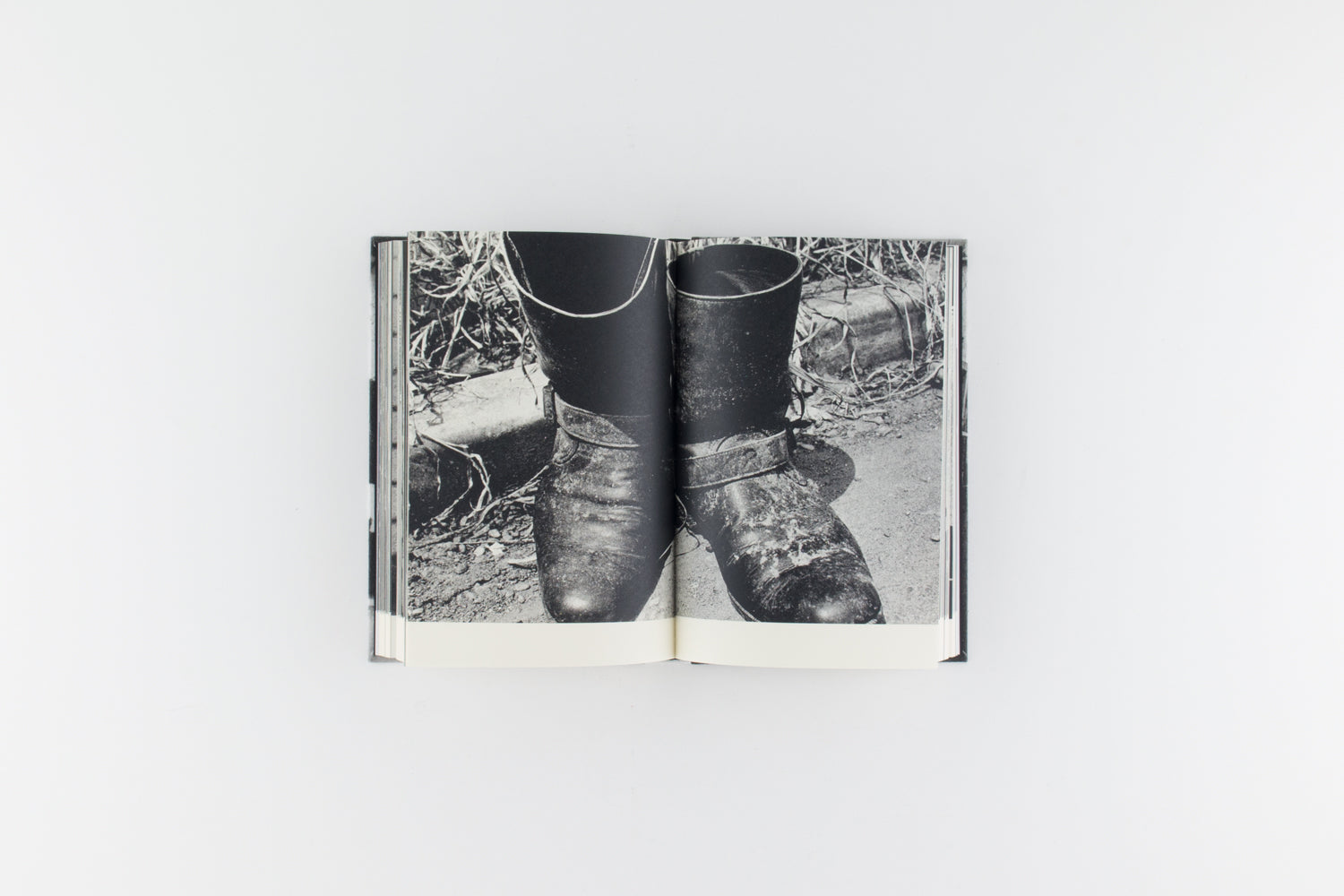 Daido Moriyama : Terayama