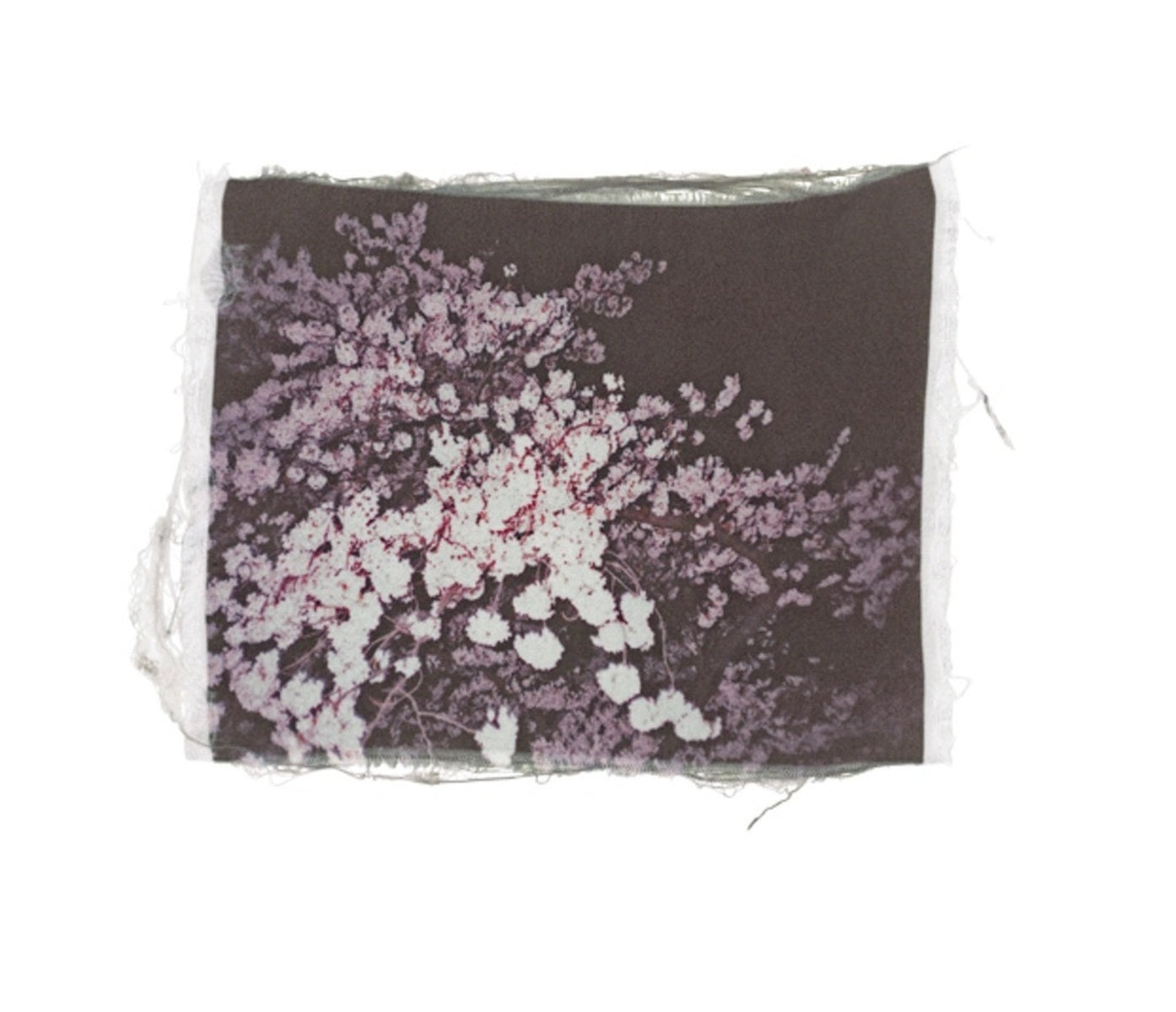 Swaying Flowers
