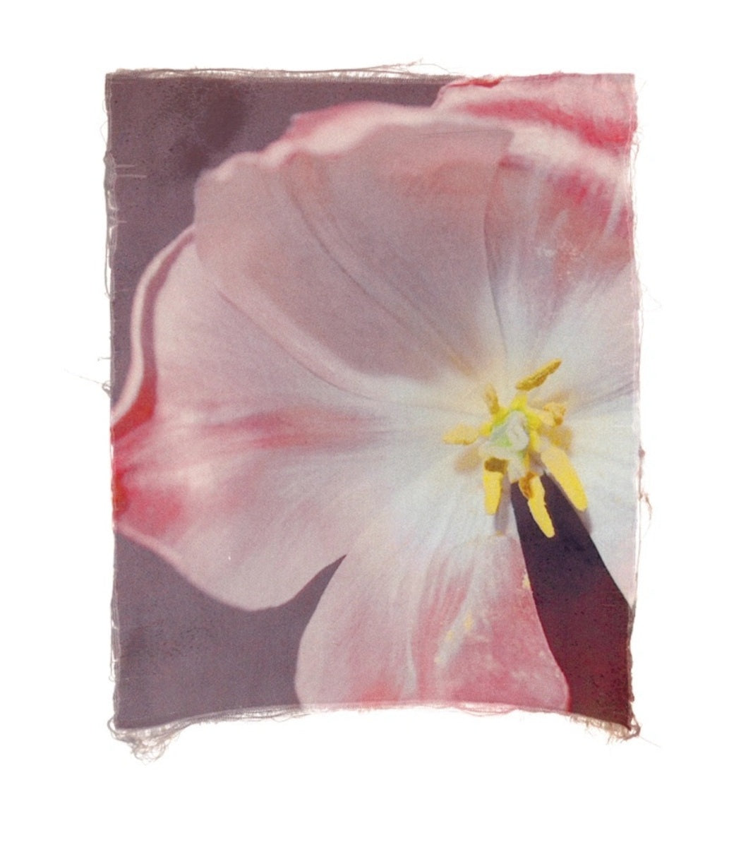 Swaying Flowers