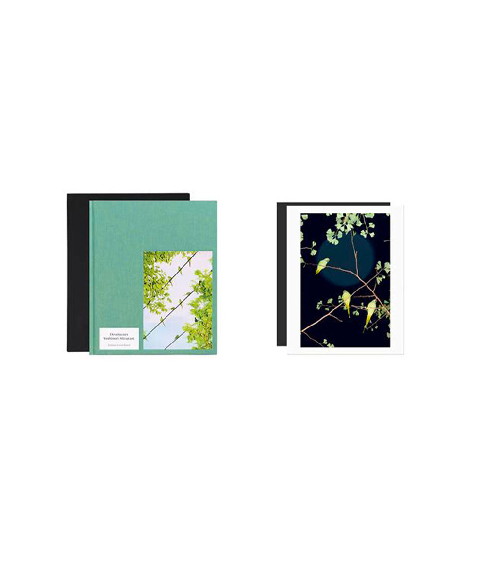 Des oiseaux (special edition)