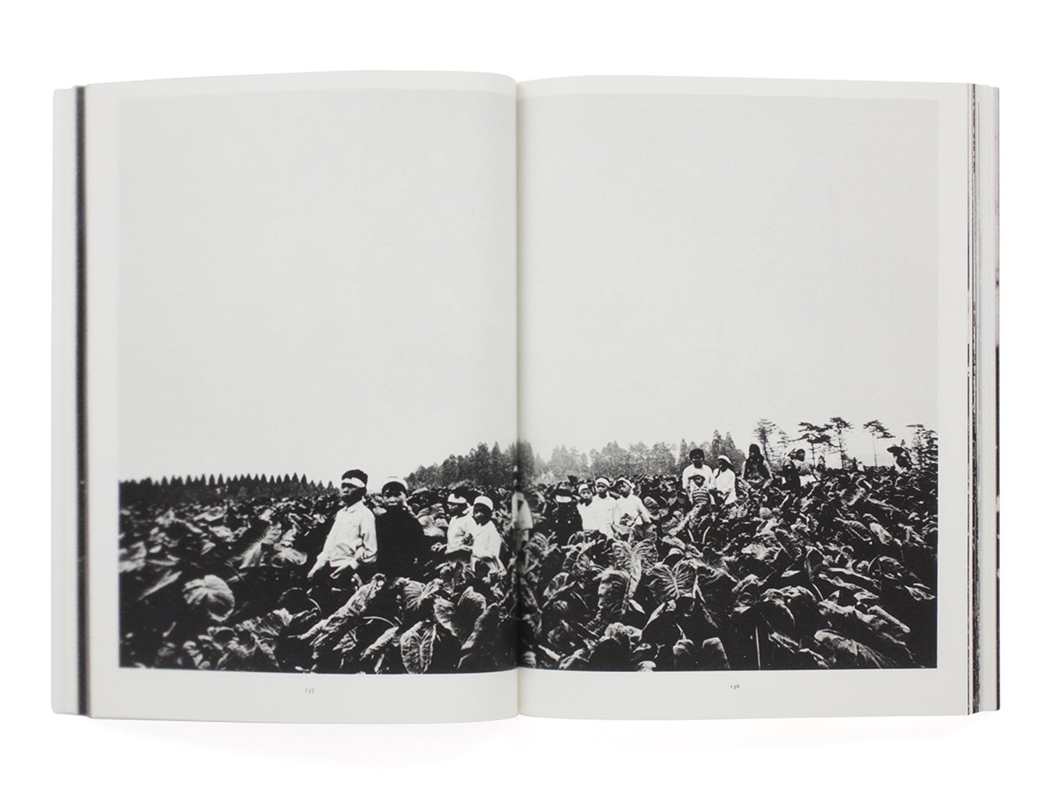 Sanrizuka 1969-1971 (first edition,signed)