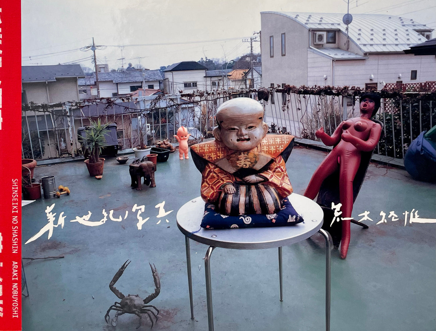 Shinseiki no Sashin (Photographs from the New Century)