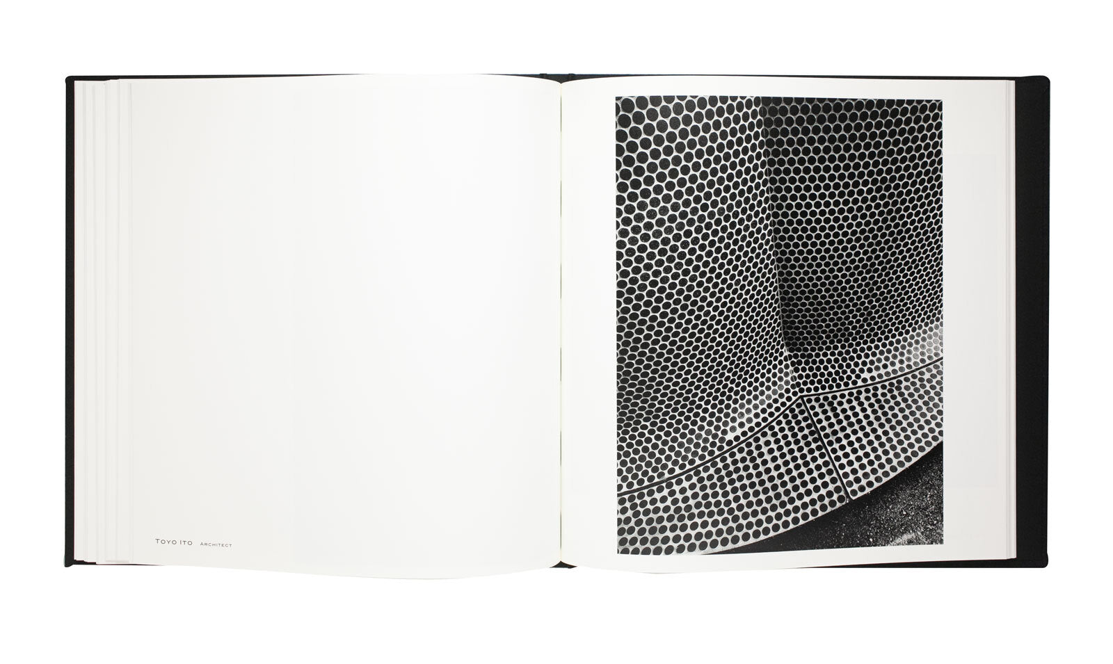 Daido Moriyama - The Tokyo Toilet