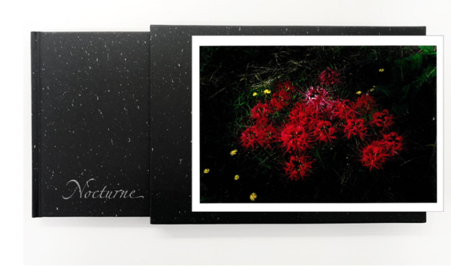 Nocturne (special edition) B-3/10