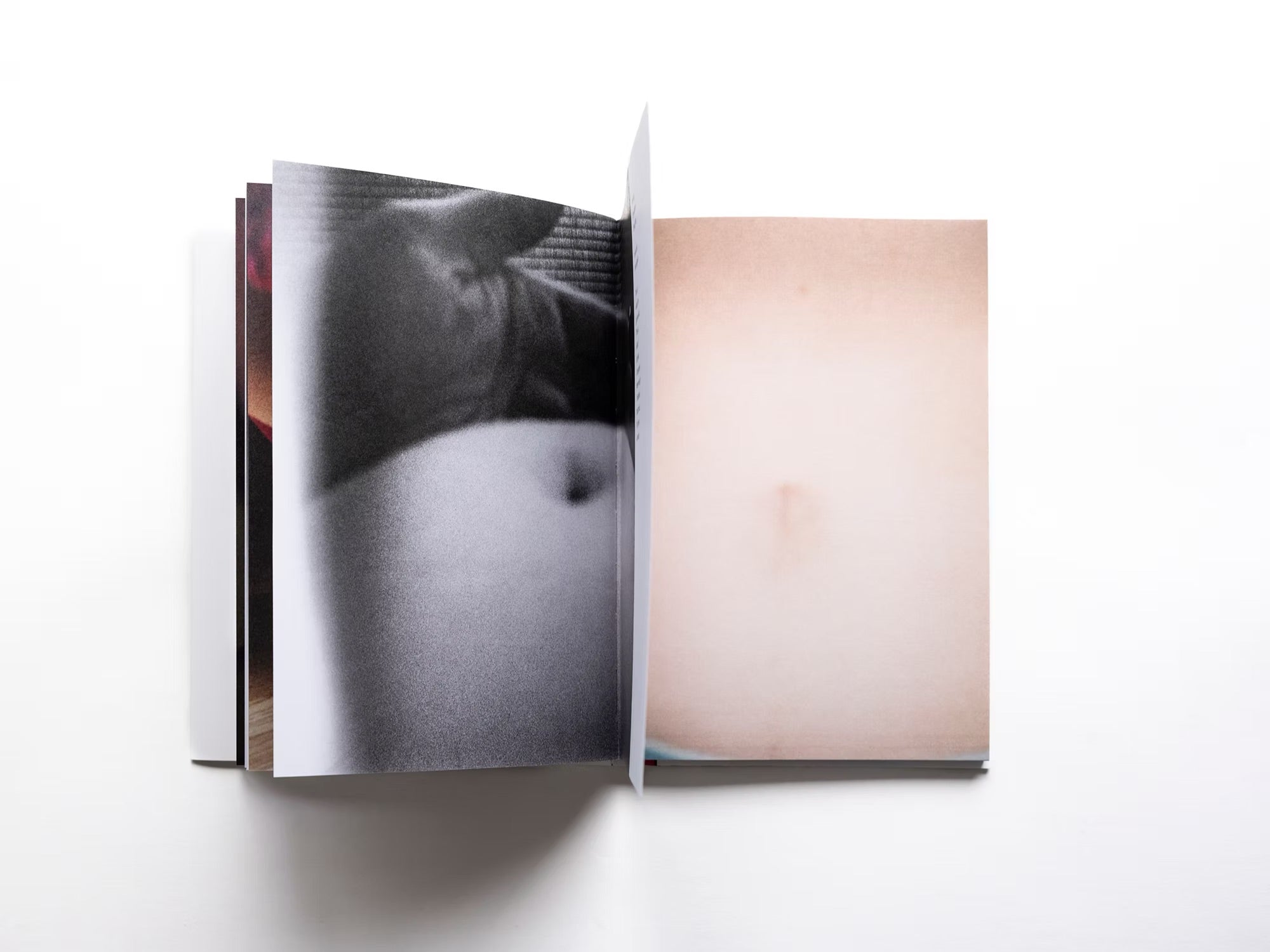 Katrine Longly - To tell my real intentions, I want to eat only haze like a hermit
