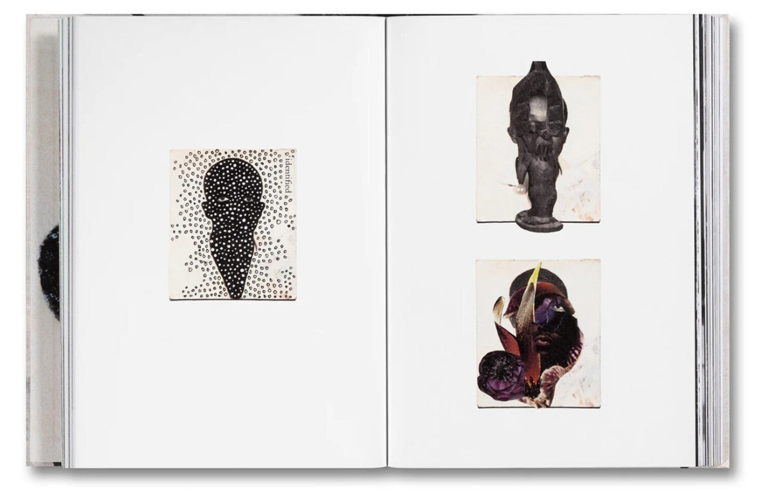 Passports, 2012-2025