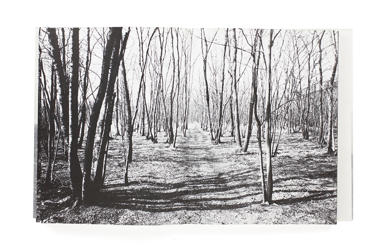 To the Villages/Mura E (signed)