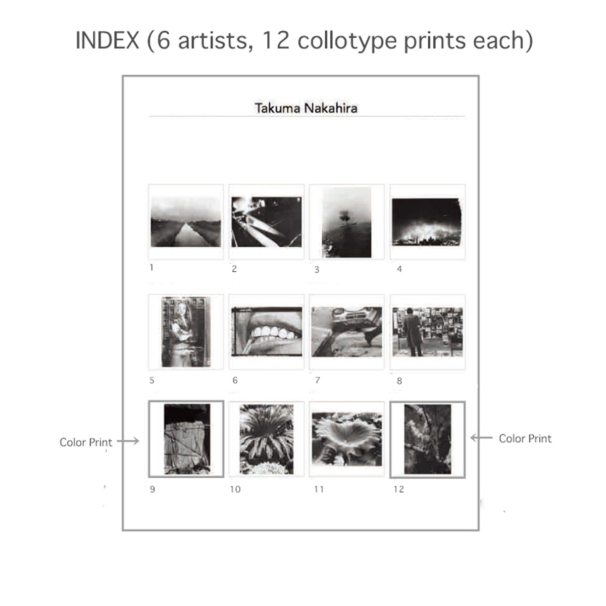 PROVOKE (BOX)