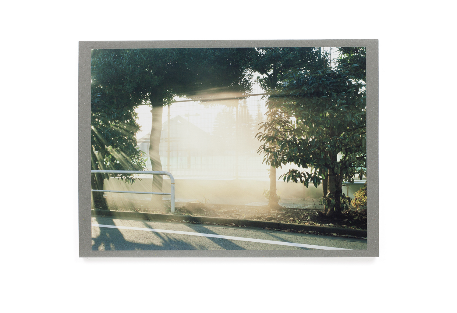 Photograph