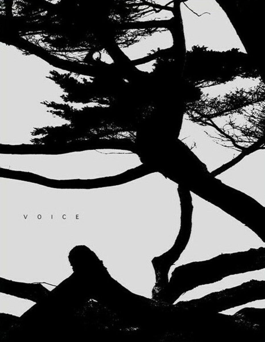 Voice