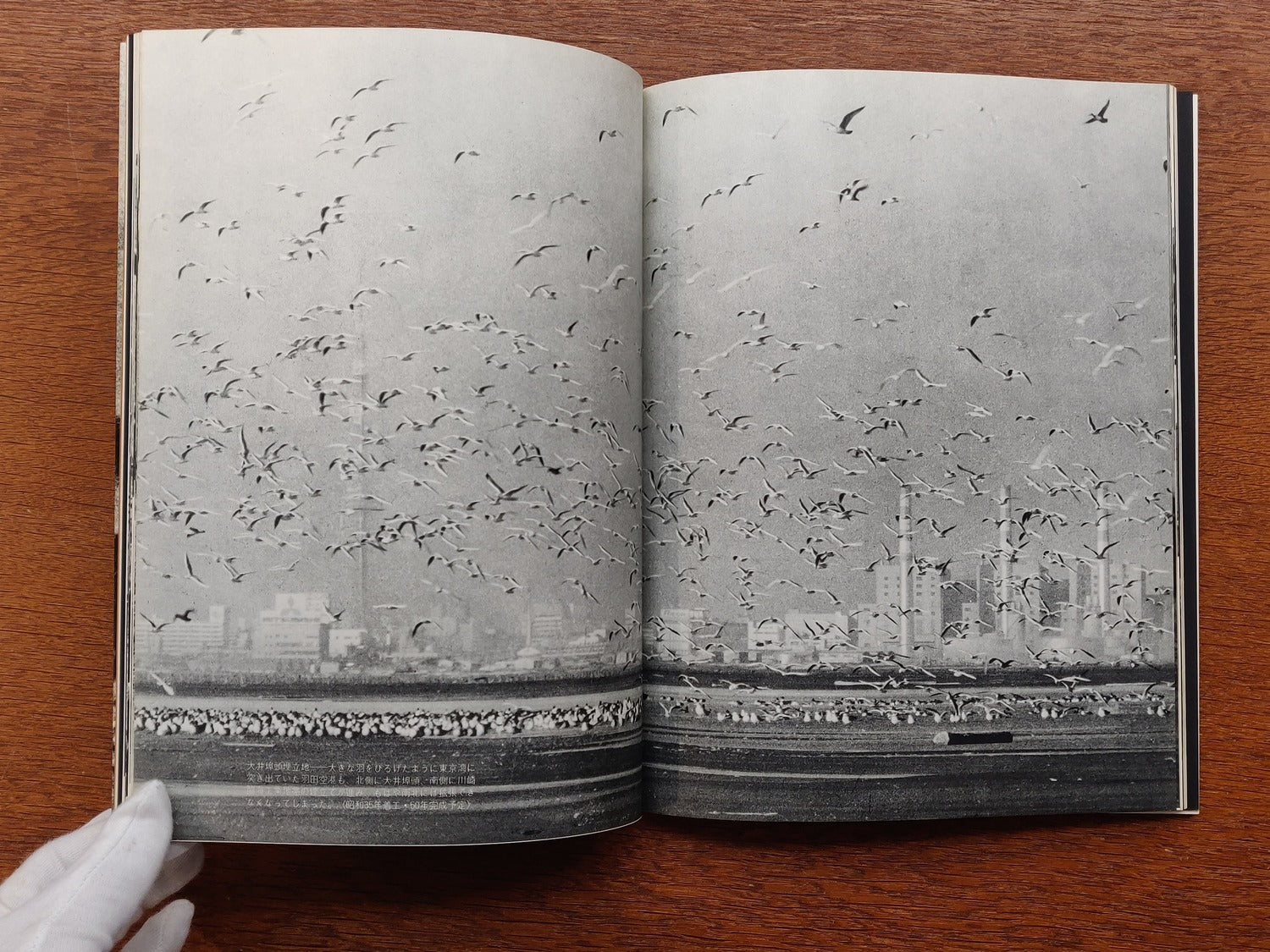 Haneda Airport: A Record of 27 Years After the War - Tokyo International Airport 1946-1972