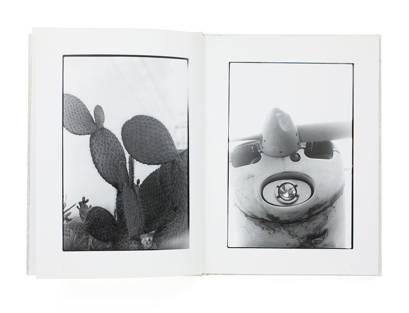 Chieko Shiraishi - Saboten to Shippo (Cactus and Tail)