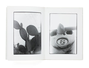 Chieko Shiraishi - Saboten to Shippo (Cactus and Tail)
