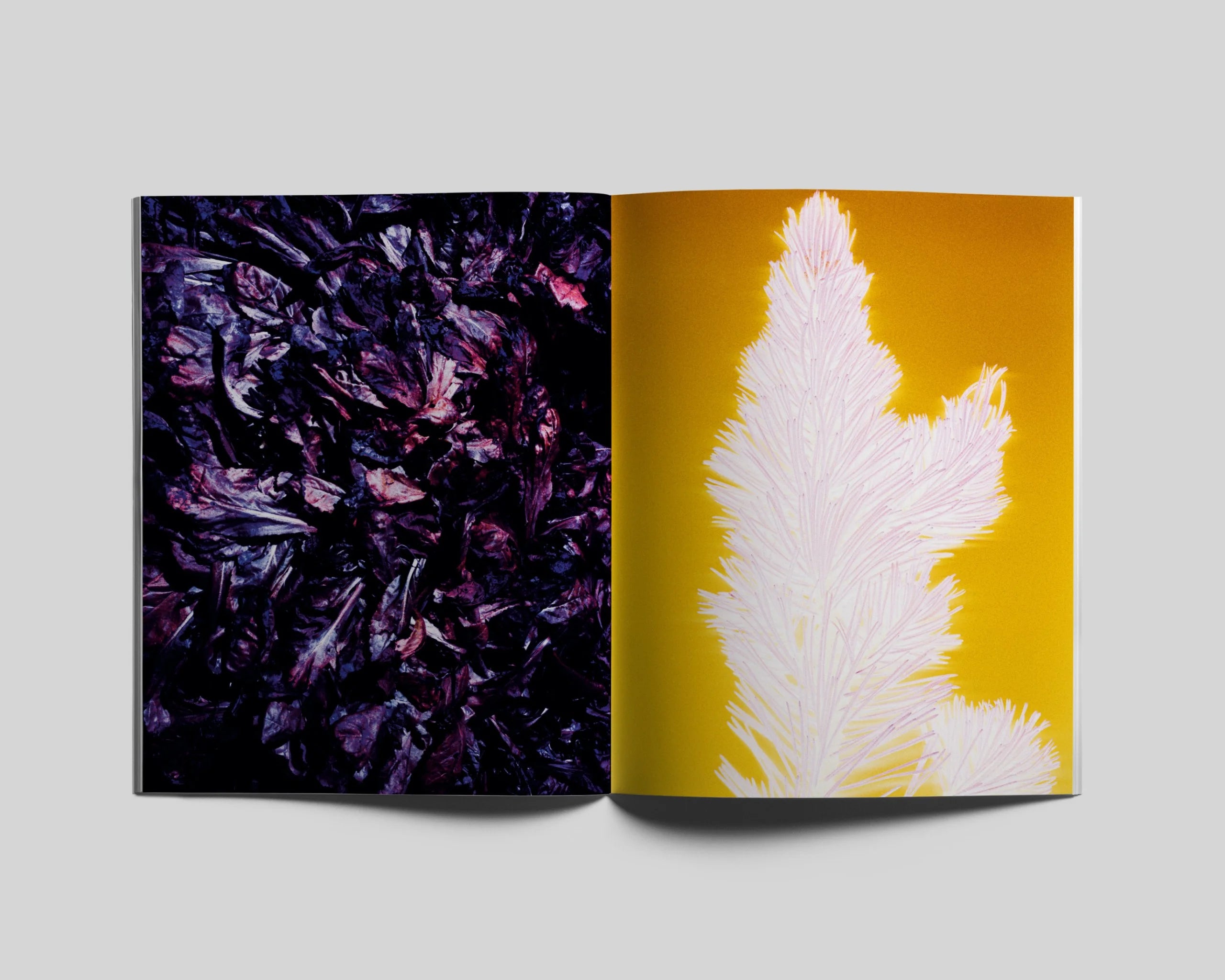 Marine Lanier - Le jardin d'Hannibal