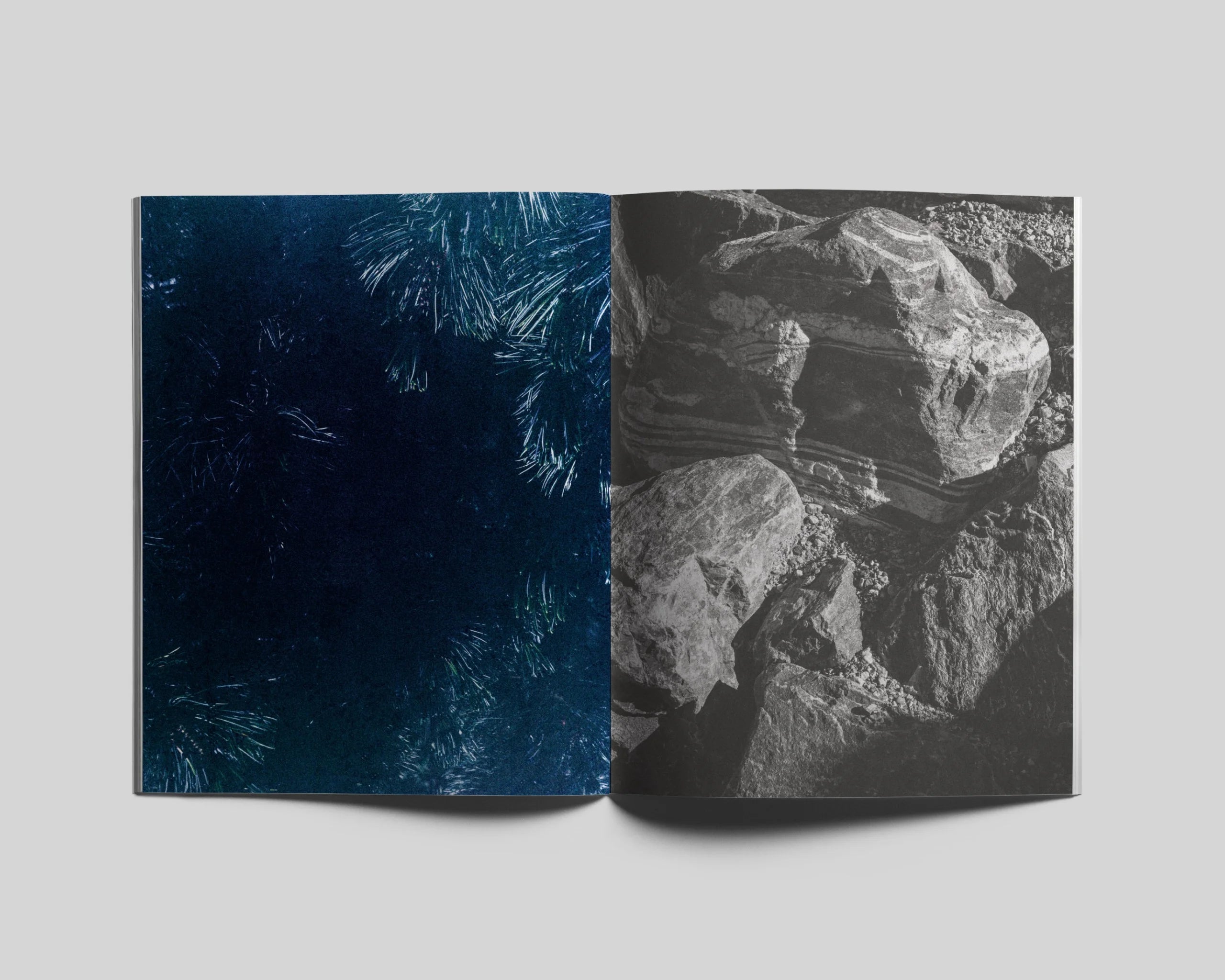 Marine Lanier - Le jardin d'Hannibal