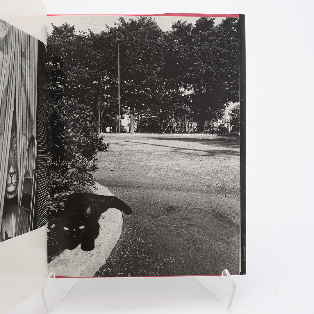 Narahashi Asako - NU・E Photographs 1992 - 1997 (signed)