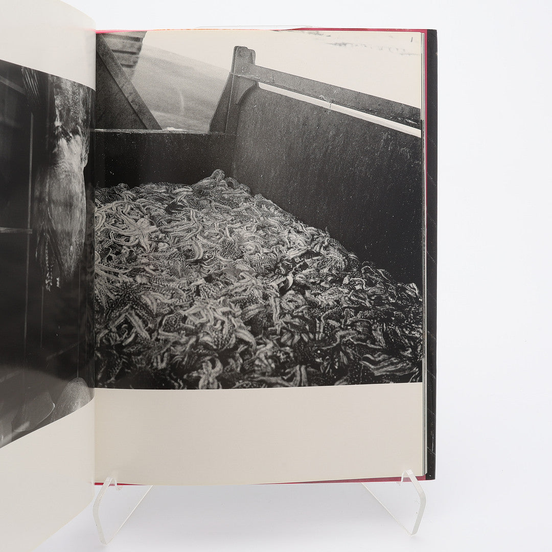 Narahashi Asako - NU・E Photographs 1992 - 1997 (signed)