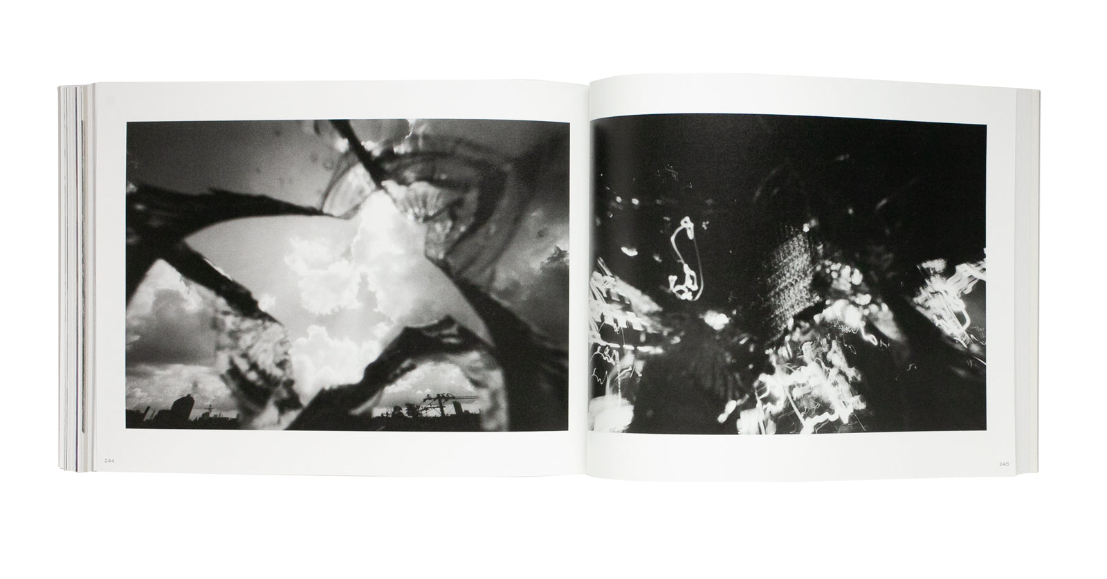 Nobuyoshi Araki - Ojo Shashu : Photography for the Afterlife