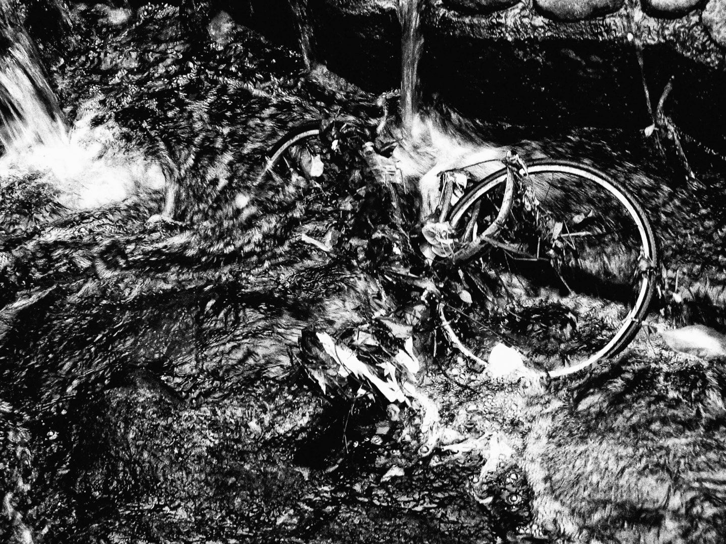 Daido Moriyama - Record No. 54 – Galerie Écho